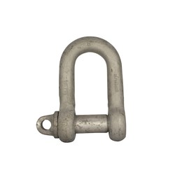 Beaver Grade M Dee Shackle - Galvanised